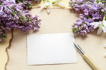 Lilacs and snowdrop anemone flowers (Anemone sylvestris) on vint
