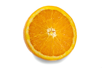 Front View of Half Orange