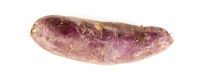 Whole organic delicious purple sweet potato studio isolated