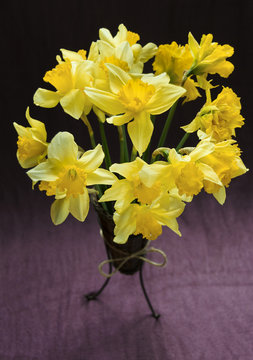 Yellow daffodils in a vase 