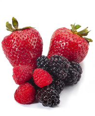 berry medley