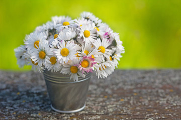 Wild daisy flowers in a small tin bucket