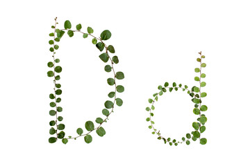 Alphabet font 