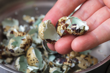 shell of the eggs on the bottom of the pan