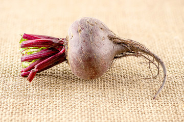 Macro of fibrous beetroot