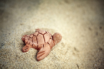 Kleine Tonschildkroeten