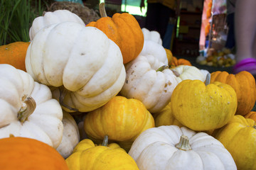 colorful pumpkins