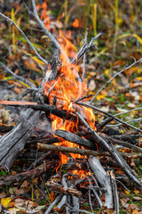Campfire