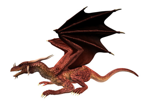 3D Illustration Red Fantasy Dragon on White