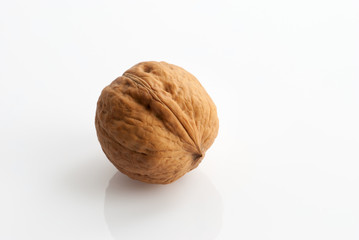 walnut on a white background