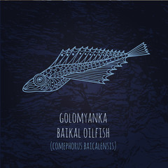 Baikal oilfish golomyanka illustration in doodle style. Vector m