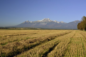 Spojrzenie na Tatry © Jurek Adamski