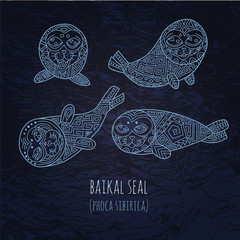 Baikal seals illustration in doodle style. Vector monochrome ske