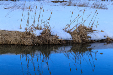 Сухой камыш на берегу небольшой реки, лед только что сошел, зимний вечер