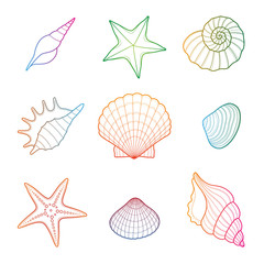 Shells and starfish set