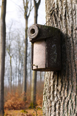 Forstvogelhäuschen