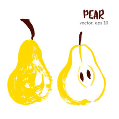 Sketched fruit illustration of pear. Hand drawn brush food ingre