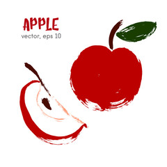Sketched fruit illustration of apple. Hand drawn brush food ingr