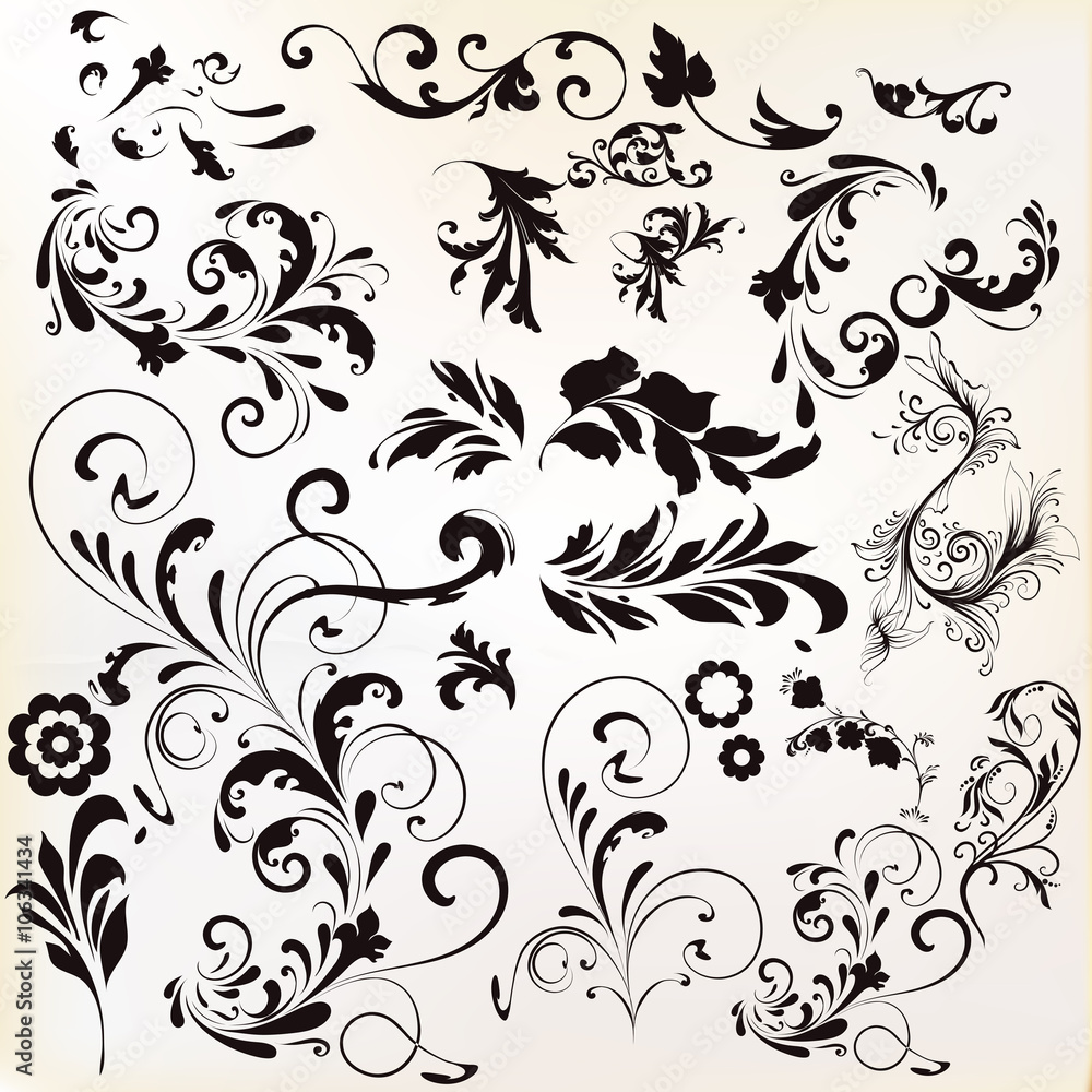 Wall mural vector set of calligraphic elements for design. calligraphic vec