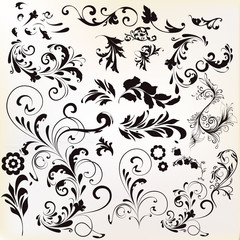 Vector set of calligraphic elements for design. Calligraphic vec