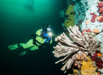 Gordijnen Scuba diving in British Columbia © Michael Bogner
