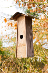 Vogelhäuschen für Kohlmeisen