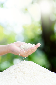 Jasmine rice in kid hand