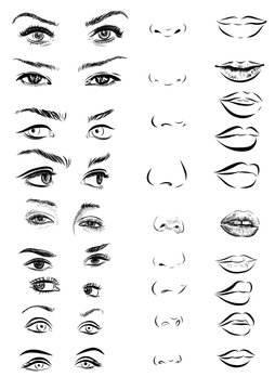 Set Of Woman Eyes, Lips, Eyebrows And Noses As Black Sketching Design Elements. 