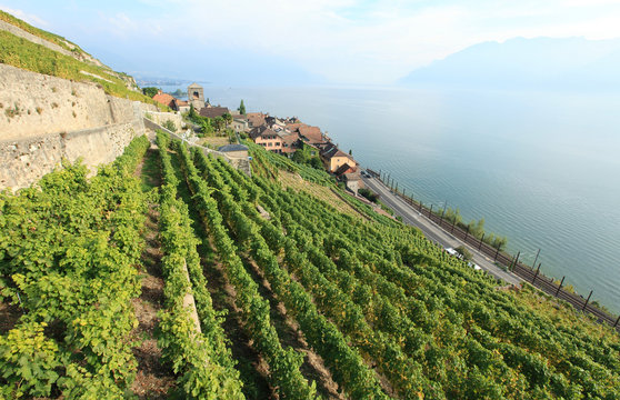 Lavaux vineyards, unesco world heritage, Switzerland