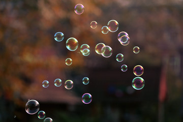 Soap bubbles outdoor