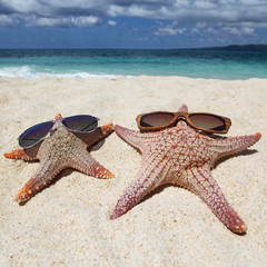 Starfish with sunglasses on beach