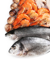 Seafood isolated on white