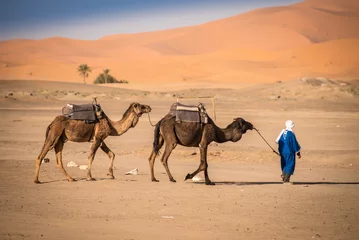 Fotobehang Berber man leidt caravan, Hassilabied, Saharawoestijn, Marokko © johnnychaos