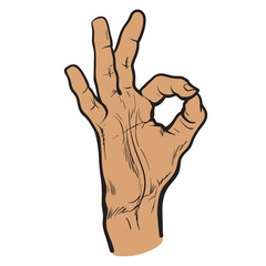 Hand showing OK. Painted vector hand. All perfectly. Everything is fine. Good. Fingers do the ring. OK symbol. Isolated hand. One hand. Painted illustration of hands. Symbol everything is fine. 