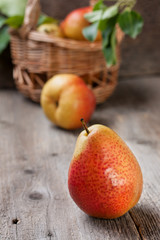 fresh pears with green leaves