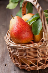 fresh pears with green leaves