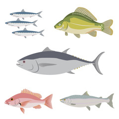 Vector set of difference kind of fish, river and sea food
