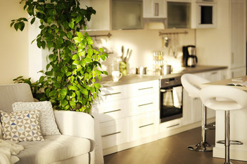 Modern beautiful kitchen interior