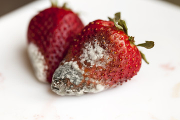 Strawberry with mold  