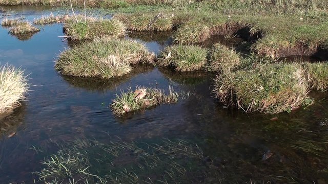 Vallefiorita parco nazionale AbruzzoLazio Molise