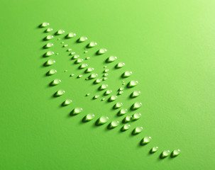Naklejka premium Leaf made of water drops on green background