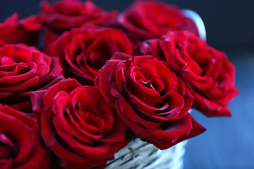 Red roses in basket, closeup