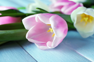 Bouquet of white and pink tulips on blue wooden background, close up