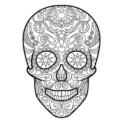 Skull coloring book for adults vector