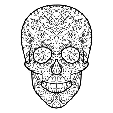 Skull coloring book for adults vector