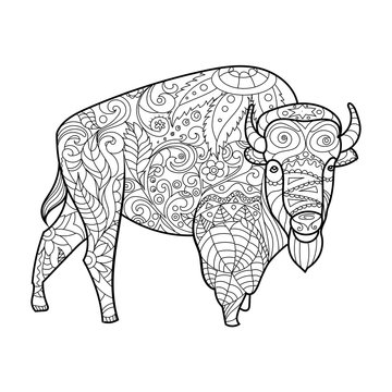 Bison animal coloring book for adults vector