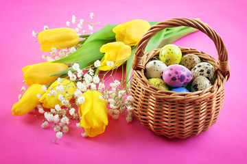 Multicoloured Easter eggs in basket and crocus on pink background