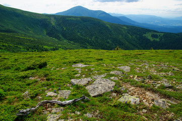 Mountain landscape in summer