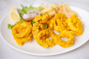 Roman style squid with fries