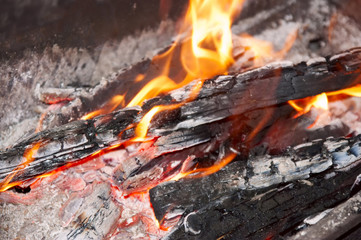 Fototapeta premium burning wood